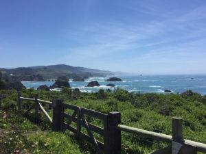 Photo of Mendocino Coast. Location of Our Acupuncture Clinic