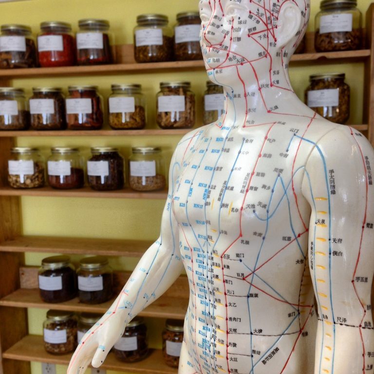 Acupuncture Model with Acupuncture Points